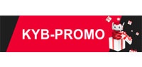 Программа лояльности KYB-Promo